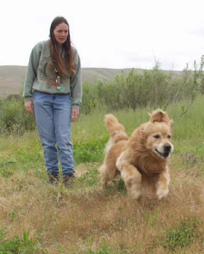 Tiger,  CH Sherwood's Let's Play A Round CD NA NAJ